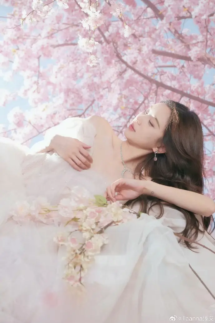 数字决策影响力图示